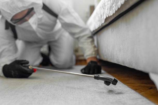 Professional Termite Control technician working in Vail, AZ